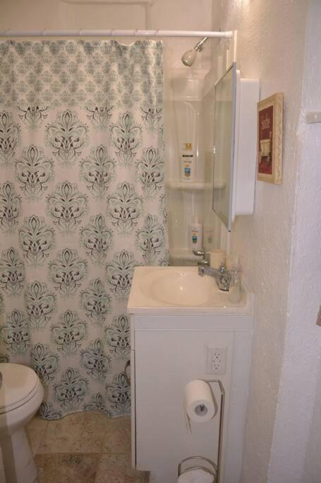 Bright And Cozy Lighthouse Cottage In Greenville Sc מראה חיצוני תמונה